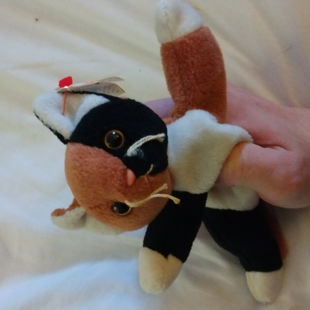 Chip, beanie baby cat, with unusual tush tag